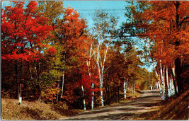 Autumn Leaves at The Beautiful Adirondack Mountains Of New York Postcard (A4) - £4.65 GBP