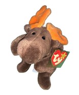 TY Beanie Baby Chocolate the Moose - $9.38 CAD