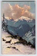 Mountain Goats Snow Covered Postcard Signed Muller Wildlife HKM 419 Germany - £12.73 GBP