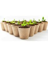 3 Inch Starter Pots 50 Pack of Biodegradable Containers - £19.28 GBP