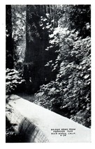 B-54 Bridge Hewn from Redwood Tree. Muir Woods California RPPC Postcard - £11.83 GBP