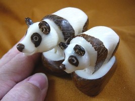 (TNE-BEA-PA-386C) Mama baby Panda BEAR TAGUA NUT Figurine Carving Vegetable - $37.81