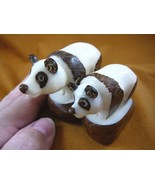 (TNE-BEA-PA-386C) Mama baby Panda BEAR TAGUA NUT Figurine Carving Vegetable - £29.74 GBP