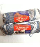 Lion Brand Sayelle yarn x2 #254 Wedgewood ombre blue grey tan brown vari... - $334.31 MXN