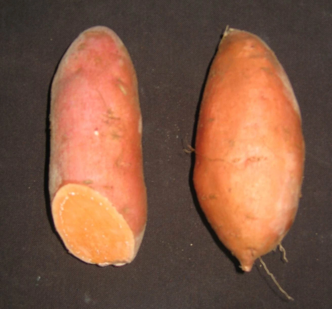10 Sweet Potato Slips Plants - Bunch Porto Rico (Bush) - Non GMO &amp; Chemi... - $26.99