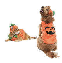 Vibrant Life Halloween Dog Costume and Cat Costume: Jack-O-Lantern, Size medium - £8.26 GBP