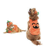 Vibrant Life Halloween Dog Costume and Cat Costume: Jack-O-Lantern, Size... - $14.10 CAD