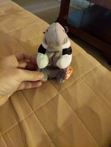 *Very Rare* Ants Ty Beanie Baby 1997 Retired Very Cool Design Striped An... - $79.20