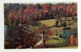 Lycoming County Buttonwood Williamsport PA Fall Autumn Foliage Postcard c1970s - £6.29 GBP