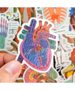 50 PCS Science Anatomy Sticker Pack, Medical Anatomy Human Body Biology Stickers - $11.85