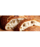 SOURDOUGH yeast bread STARTER &quot;San Francisco&quot;  BEAST+ RECIPES 10starters... - £7.18 GBP