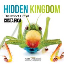 Hidden Kingdom: The Insect Life of Costa Rica (Zona Tropical Publication... - $15.46