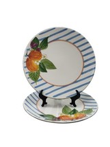 Mikasa Sunshine Harvest DW104 Fashion Lunch Dinner  Plates Hand Painted Set of 2 - £19.25 GBP