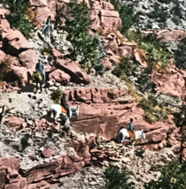 1910 Zig Zags Bright Angel Trail Grand Canyon AZ Arizona Postcard Detroit - £4.70 GBP