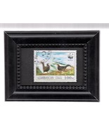 Framed Stamp Art - Caucasian Grouse - Endangered Wild Life - $184.99 MXN