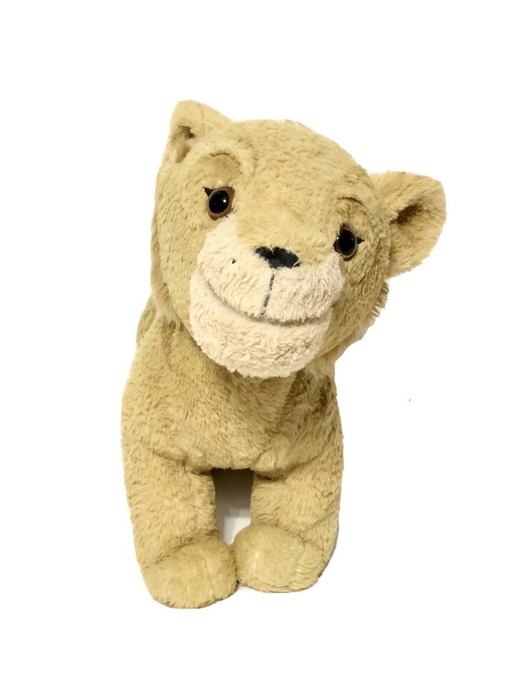 Full-size item image