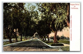 Central Park and Hotel Green Pasadena CA California UNP DB Postcard P16 - £4.06 GBP