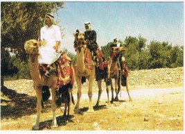 Animals Postcard Middle East Rider On Their Camels - £1.64 GBP