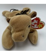 Ty Beanie Babies Derby The Horse 1995 #7 - €4,31 EUR