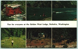 Multiview Advertising Golden West Lodge Stehekin WA UNP Chrome Postcard H6 - $4.90