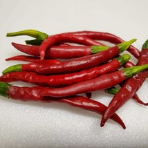 Chile De Arbol Hot Pepper Seeds Vegetable Gardening USA Shipping - £7.67 GBP