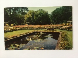  Vintage Postcard Unposted ✉️ Lilly Pool Bellingrath Gardens Mobile Alabama Us - £1.95 GBP