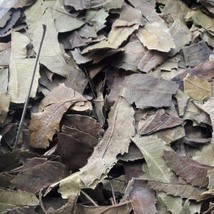 Daun Mimba - Azadirachta indica Leaf (Dried and Powder), 80 Gram - £12.16 GBP