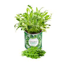 My Canned Garden Seedling Growing Kit Arugula - £19.86 GBP