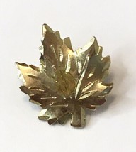 Gold Tone Maple Tree Leaf Pin Very Small Vintage Unsigned - $6.00