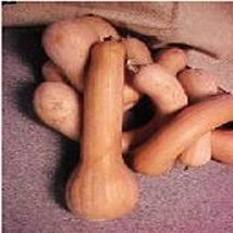 USA SELLER Tahitian Butternut Squash Seeds Fast Shipping - £8.40 GBP