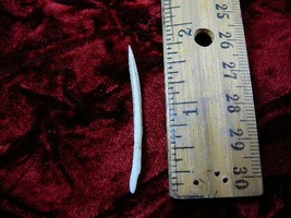 (f352-51) small 1-1/2&quot; Stingray Ray barb modern Himantura chaophraya bar... - $14.99