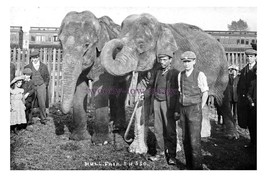 pt2407 - Hull , Fair Elephants , Yorkshire - print 6x4 - $2.80