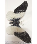 Tilnar Art - White &amp; Black Butterfly - 9cm high, 20cm wide - Recycled Al... - £21.94 GBP