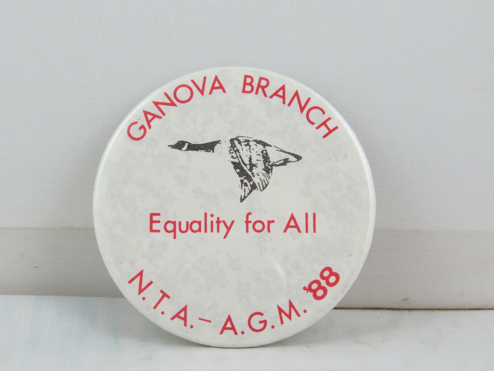 Vintage Union Pin - National Testers Association 1988 AGM - Celluloid Pin - $13.45