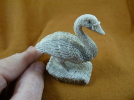 (SWAN-W4) Swan shed ANTLER figurine Bali detailed carving love cygnet ba... - $108.69