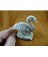 (SWAN-W4) Swan shed ANTLER figurine Bali detailed carving love cygnet ba... - £85.46 GBP