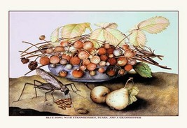 Bowl of Strawberries, Pears and a Grasshopper by Giovanna Garzoni - Art Print - £17.52 GBP+