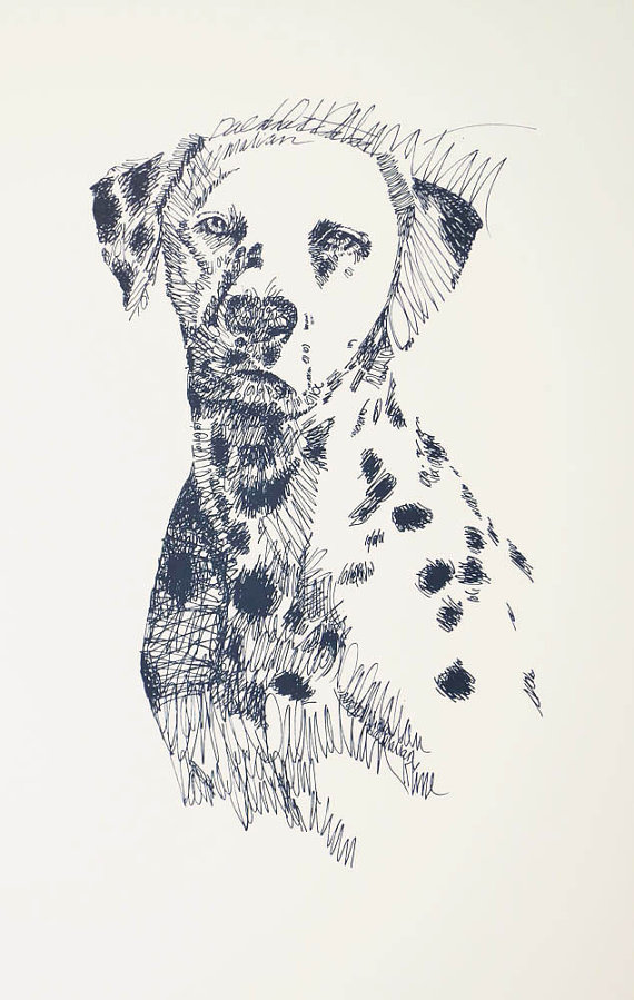 Dalmatian Dog Art Portrait Print #57 Kline adds dog name free. Drawn from words