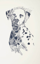 Dalmatian Dog Art Portrait Print #57 Kline adds dog name free. Drawn fro... - $49.95