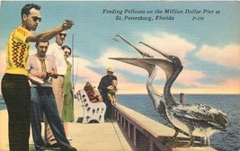 Linen FL Postcard E019 Feeding Pelicans Million Dollar Pier St Petersburg Ocean - $17.82