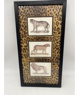 Karl Brodtmann Art Prints Scientific Drawings Lion Panther Tiger Framed ... - £19.66 GBP