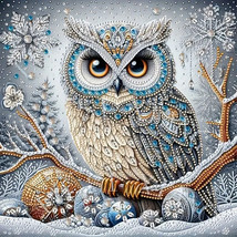 Unbranded 5D Owl Diamond Painting Kit – Special Shaped Crystal Diamonds - $27.61 CAD