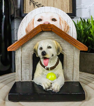 Cute Golden Retriever Puppy Dog In Doghouse Coaster Set Holder And 4 Coasters - £19.51 GBP