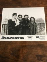 Vintage The Honeydogs Glossy Press Promotional Photo 8x10 90’s Indie Rock - €7,02 EUR