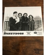 Vintage The Honeydogs Glossy Press Promotional Photo 8x10 90’s Indie Rock - $8.00