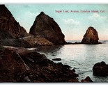 Zucchero Loaf Spiaggia Vista Santa CATALINA Isola California Ca 1911 DB - $5.08
