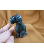 (Y-DOG-AI-721) Green purple FOX WIRE AIREDALE Terrier dog GEMSTONE figurine - $23.36