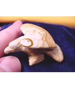Y-BIR-EA-ST-553) EAGLE eagles bird TAN Picture JASPER gem STONE gemstone... - €12,02 EUR