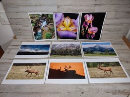 Lot of 9 Nature Photography Prints Flowers Mountains Elk Montana 11&quot; x 8 1/2&quot; - £16.95 GBP
