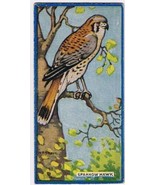 Cowan Co Toronto Card Sparrow Hawk Canadian Bird Series - $4.94